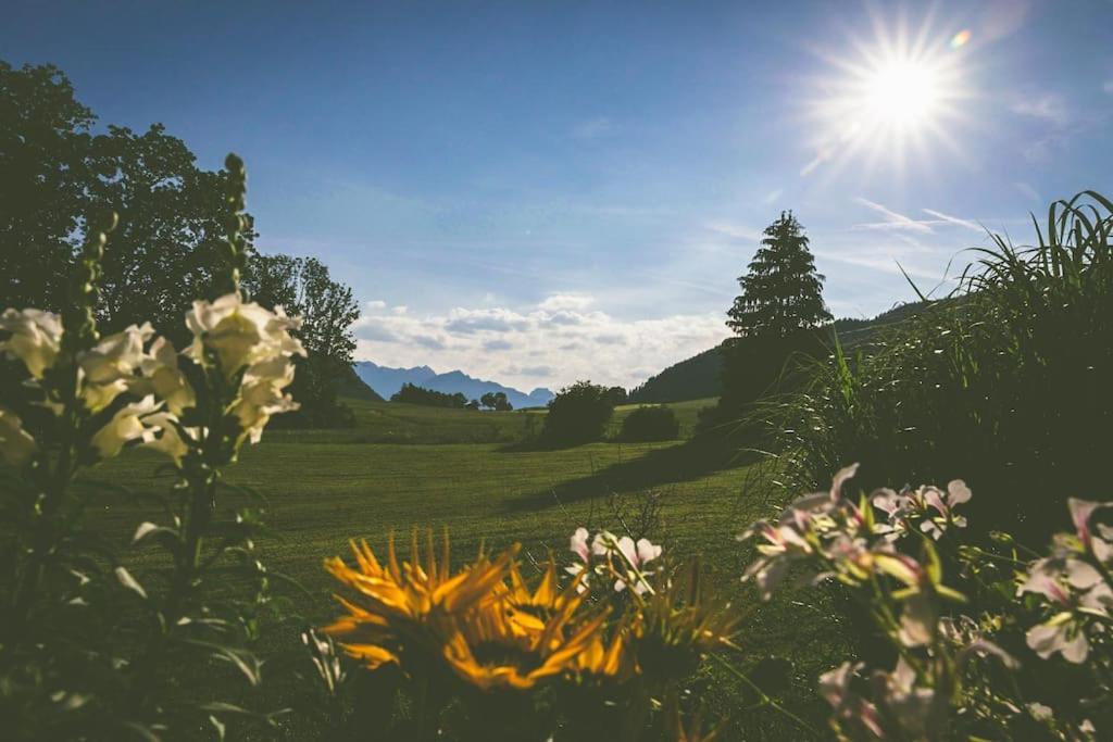 Fritzis Alpenidyll „Sommertraum & Winterromantik” Замерберг Екстериор снимка